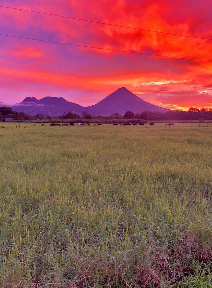 Befox Adventure Hotel La Fortuna Ngoại thất bức ảnh