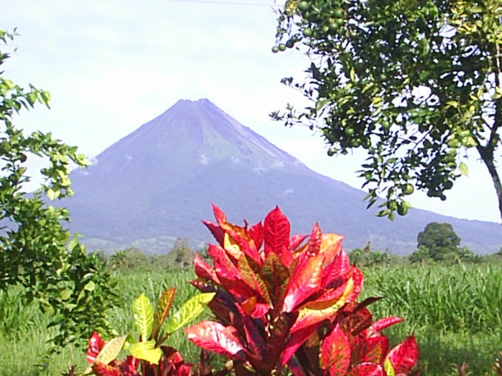 Befox Adventure Hotel La Fortuna Ngoại thất bức ảnh