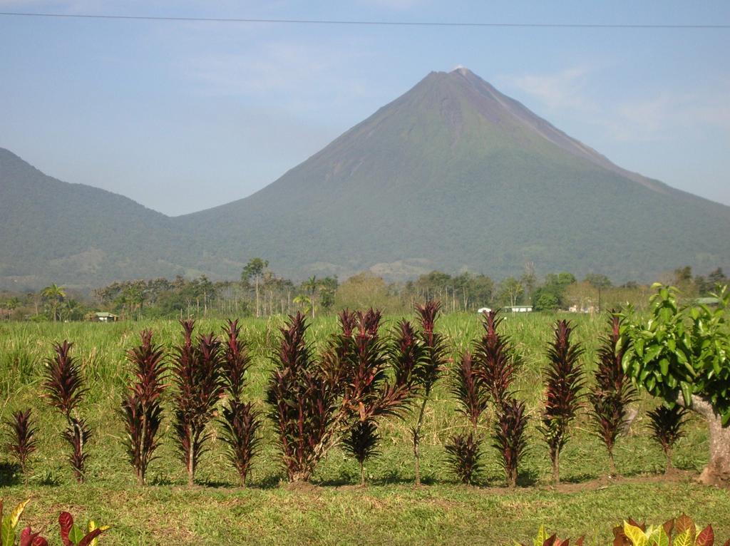 Befox Adventure Hotel La Fortuna Ngoại thất bức ảnh